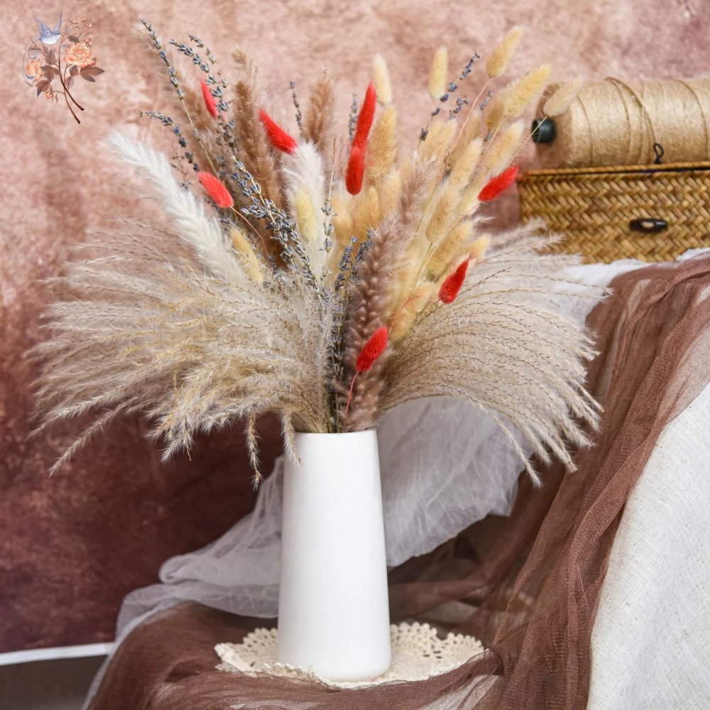 Natural Pampas Lavender Dried  - Pampas Grass Decor review and price