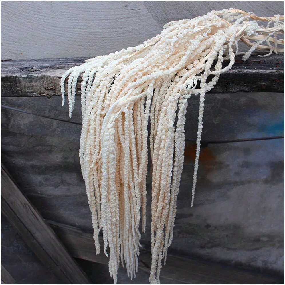 Silk Artificial Plant Vine Wed - Pampas Grass Decor review and price